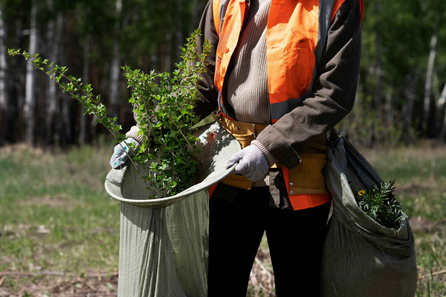 Professional Tree Service in St Hedwig, TX